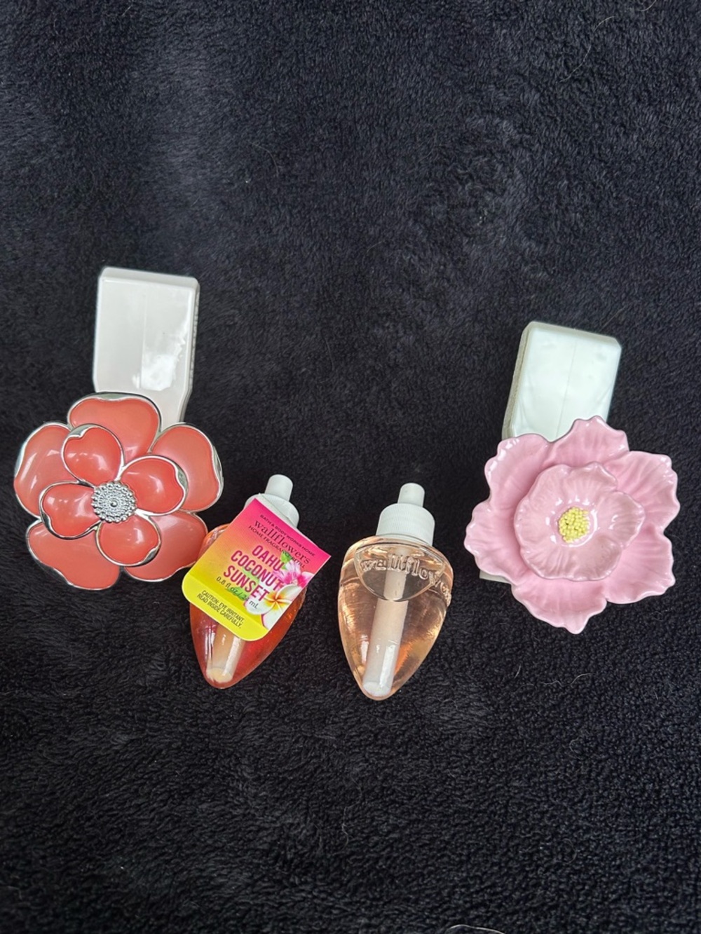 Wallflower bundle with fancy floral wallflowers